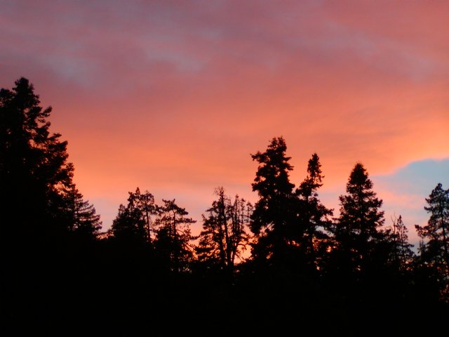 Palomar Sunset VII