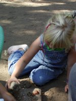 Cracking acorns