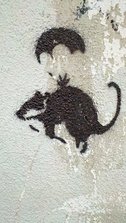 Parachute Rat