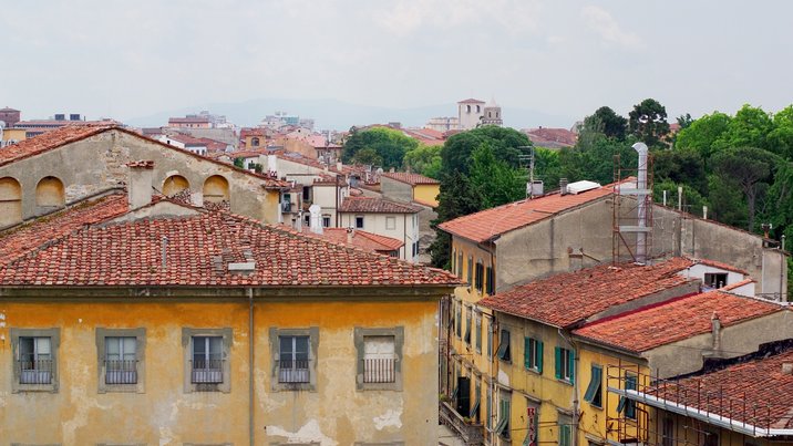 Pisa From Tower, I