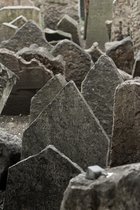Old Jewish Cemetery