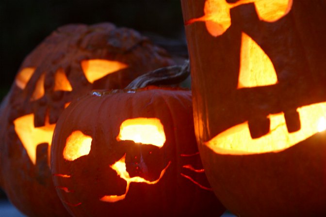 Crowd of pumpkins