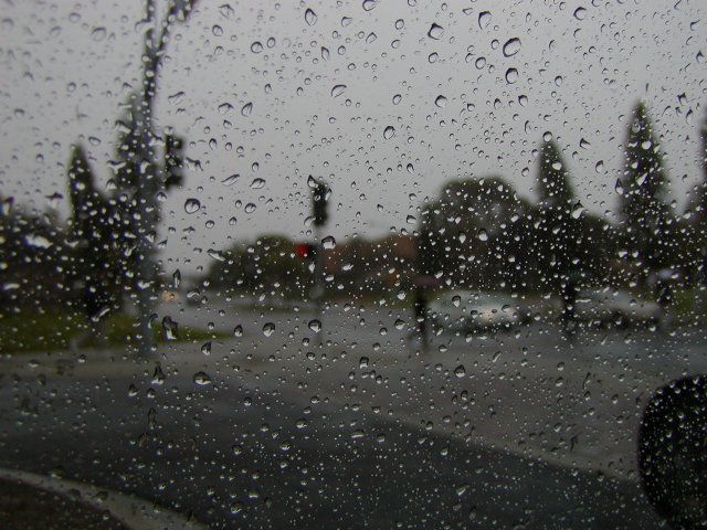 From the Car Window