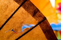 Torn Parasol