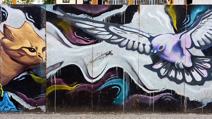 Cat And Dove
