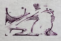 RWS