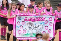 Ligers
