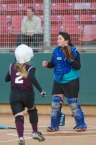 Cat Catching