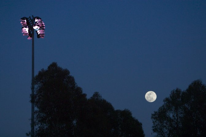 Moonrise