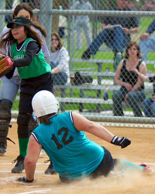 Cat Slides Home