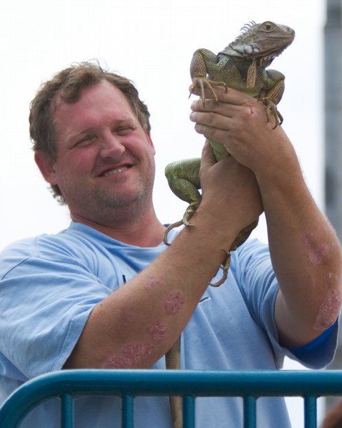 Iguana, I