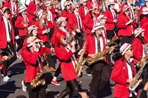 LSJUMB1