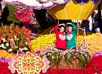 Taiwan Dream Rising