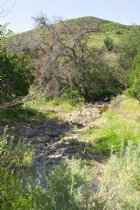A small creek