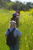 Brownie hike in Santiago Canyon