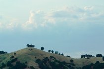 Hillside, II