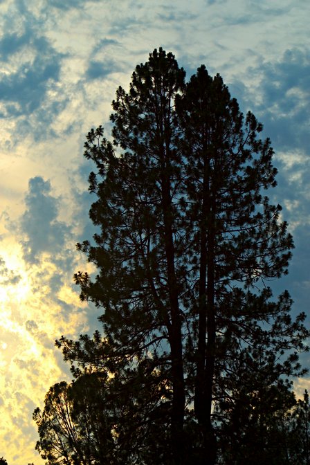 Tuesday Sunset, I