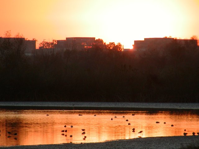 Golden Sunset Light