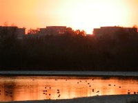 Golden Sunset Light