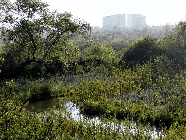 Water and buildings