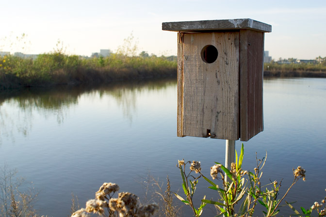 Birdhouse