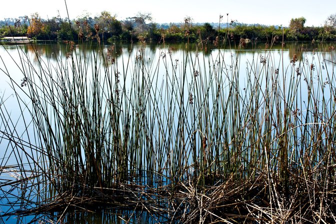 Percolation Pond