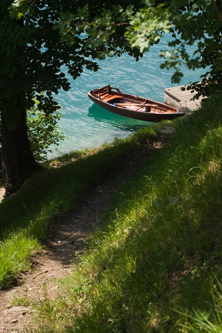 Boats Through Greenery