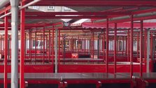 Market