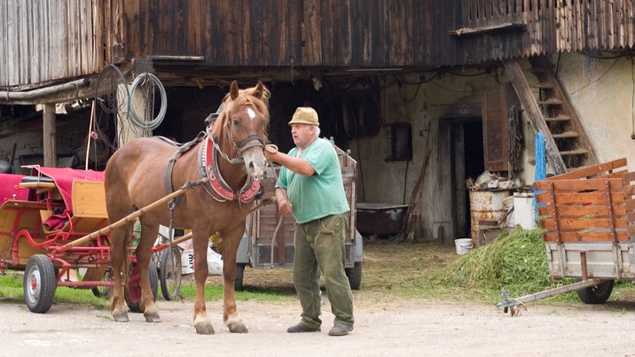 Horse Drawn Trailer