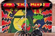 The Minds