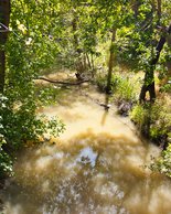 Stevens Creek