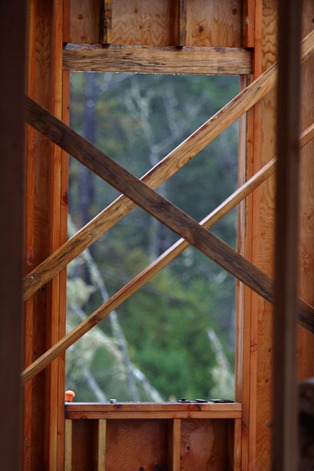 Garage window
