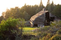 Surfwood Barn