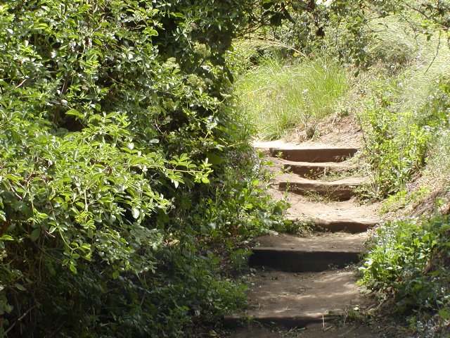 Steps