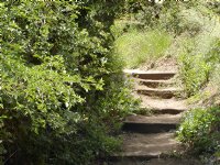 Steps