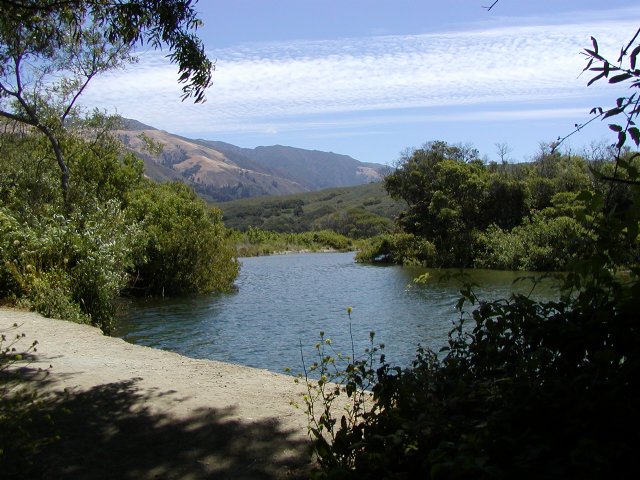 Looking upriver