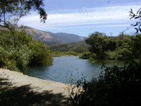 Looking upriver