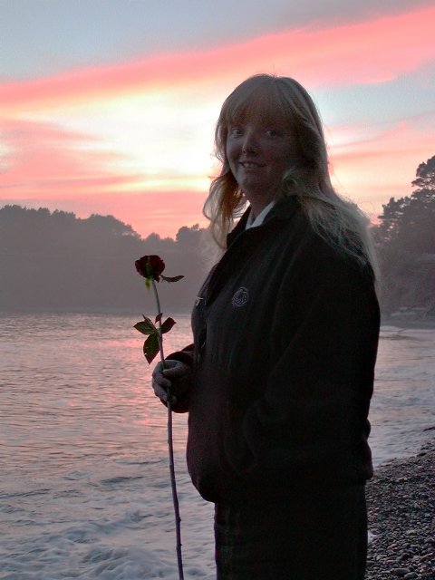 Rose light