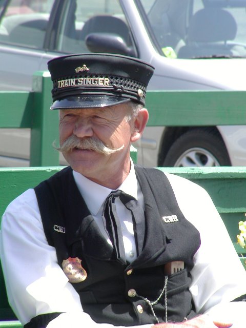 Train singer