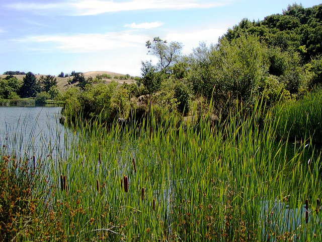 Boronda Lake