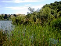 Boronda Lake