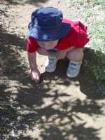 Timothy
