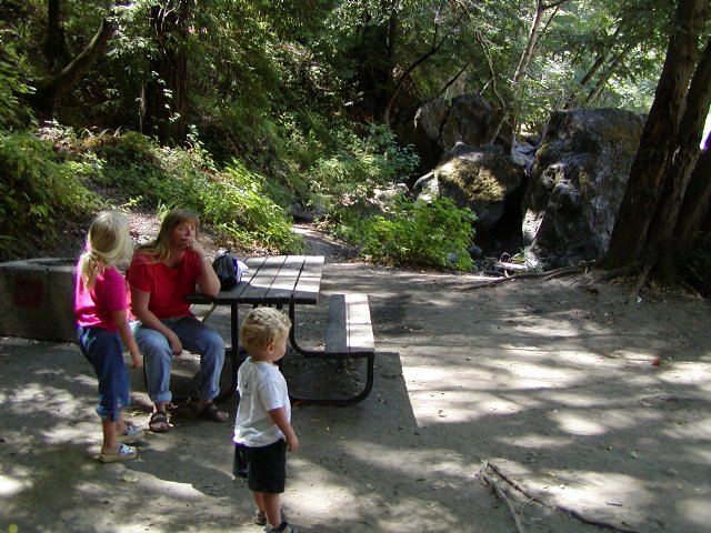 Fernwood Campsite
