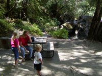 Fernwood Campsite