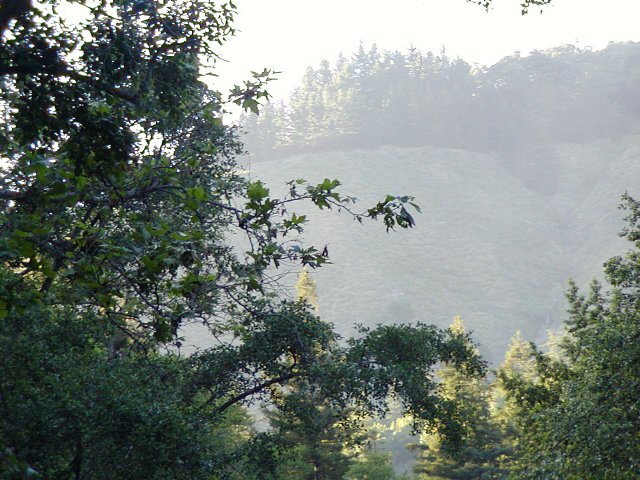 Hilltop