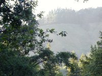 Hilltop
