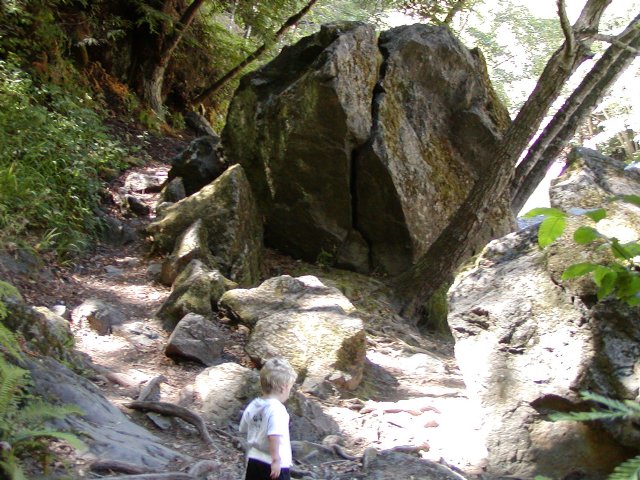 Path Downstream