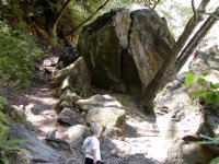 Path Downstream