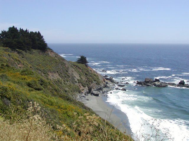 Cove