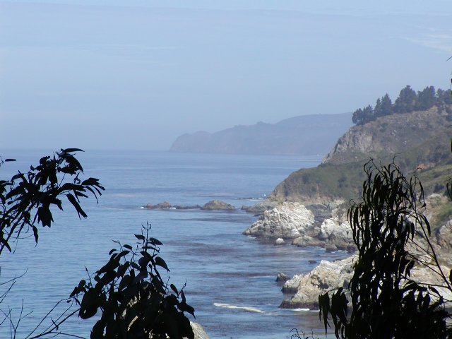 North view